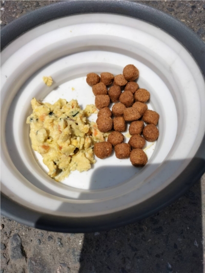 PETOKOTO FOODS�ɂ���