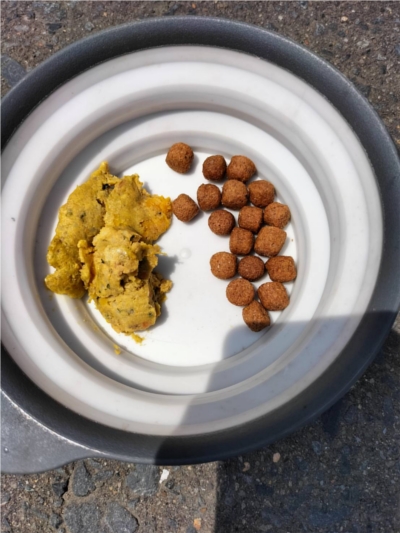 PETOKOTO FOODS�ɂ���