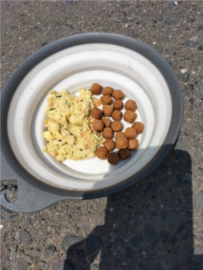 PETOKOTO FOODS�ɂ���